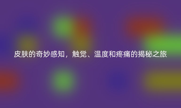 皮膚的奇妙感知，觸覺、溫度和疼痛的揭秘之旅