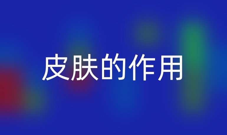 皮膚的作用
